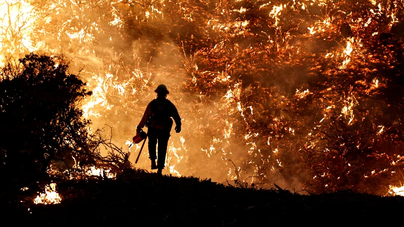 Fotografija: V zadnjem letu smo po vsem svetu z grozo spremljali, kako ogenj požira vse pred sabo. Zaradi vse pogostejših suš bodo pogostejši tudi požari. FOTO: Fred Greaves/Reuters