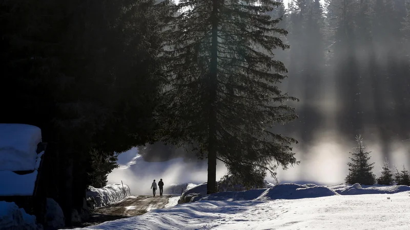Fotografija: Triglavski narodni park upravlja 83 koč in stanov. Če bi varstveni režim razrahljali, bi ti objekti lahko postali odličen poslovni model, svari Bojan Traven. FOTO: Matej Družnik/Delo
