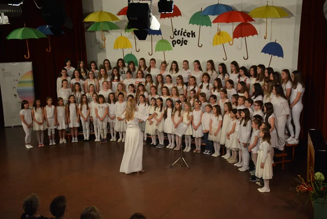 Koga pa na praznični dan še zanima, da je bila Slovenija že v času Jugoslavije daleč najbolj razvita republika? FOTO: Oste Bakal
