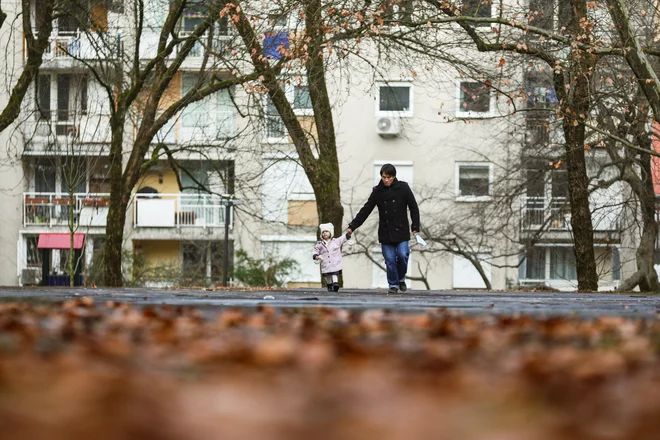 Najemna služba bo najemala stanovanja, ki so v zasebni lasti in jih oddajala za dobo najmanj treh let. FOTO: Črt Piksi
