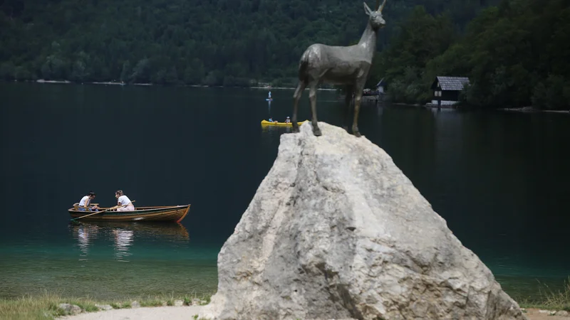 Fotografija: Mogočen, skrivnosten, vznemirljiv, igriv, zapeljiv in neponovljiv, so v TNP opisali Triglavski narodni park. FOTO: Leon Vidic/Delo