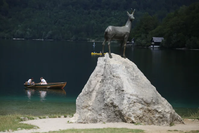 Mogočen, skrivnosten, vznemirljiv, igriv, zapeljiv in neponovljiv, so v TNP opisali Triglavski narodni park. FOTO: Leon Vidic/Delo
