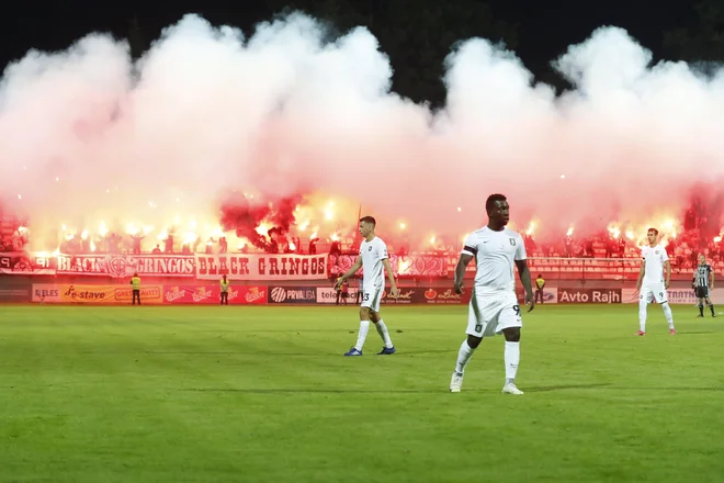 Bo Fazanerija gorela tudi spomladi? FOTO: Leon Vidic/Delo
