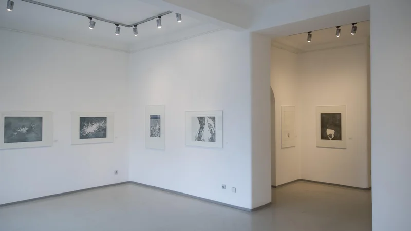 Fotografija: Eva Šuster ustvarja umirjena dela, ki so namenjena poglabljanju
v likovne kvalitete, izhajajo pa iz umetničinih osebnih spominov.
FOTO: Jure Eržen