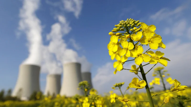 Fotografija: Hladilni stopli jedrske elektrarne Temelin.
FOTO: David W Cerny/REUTERS