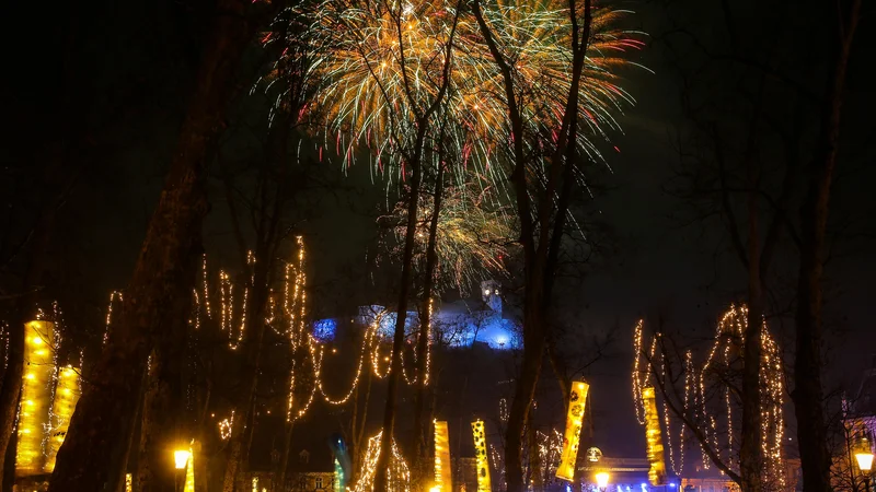 Fotografija: Če bi na silvestrovo namesto kanonade raje šli na tih nočni sprehod, bi morda opazili živali, s katerimi si delimo življenjski prostor. FOTO: Matej Družnik/Delo