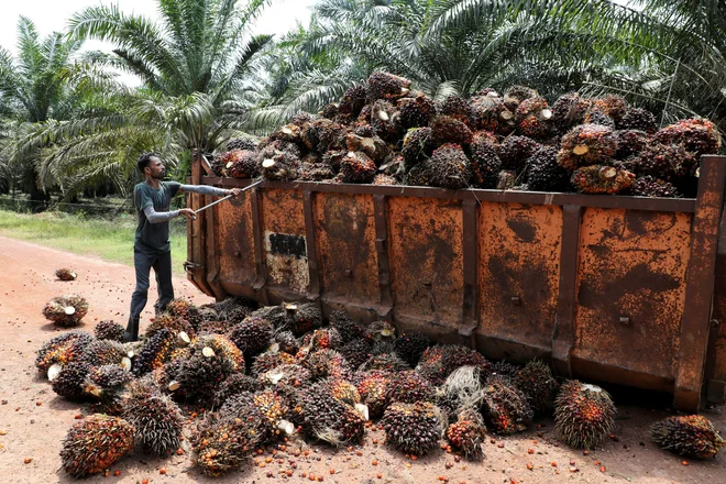 FOTO: Lim Huey Teng/Reuters
