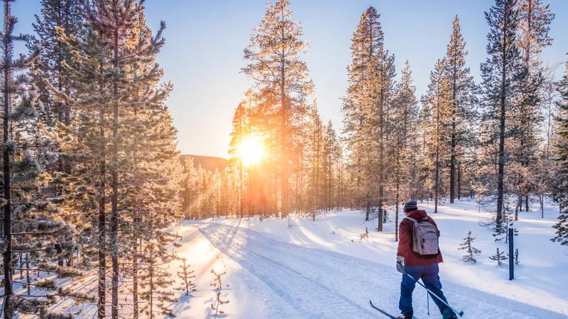 Fotografija: Najbolj po kmečko lahko razložimo, da je to način prehranjevanja, ki vsebuje toliko energije in posameznih hranilnih snovi, kot jih posameznik potrebuje. FOTO: Shutterstock