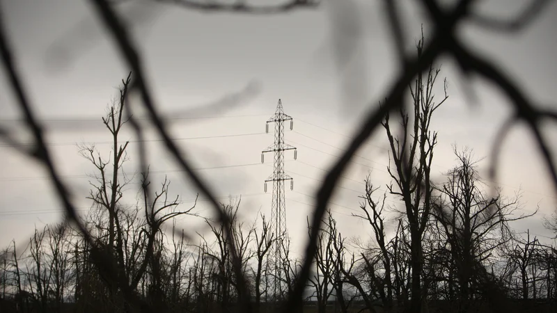 Fotografija: Tudi če država ukrepa danes, bo prepozno, a precej bolje, kot da sploh ne bi, saj bodo visoke cene verjetno še vztrajale. FOTO: Jure Eržen/Delo
