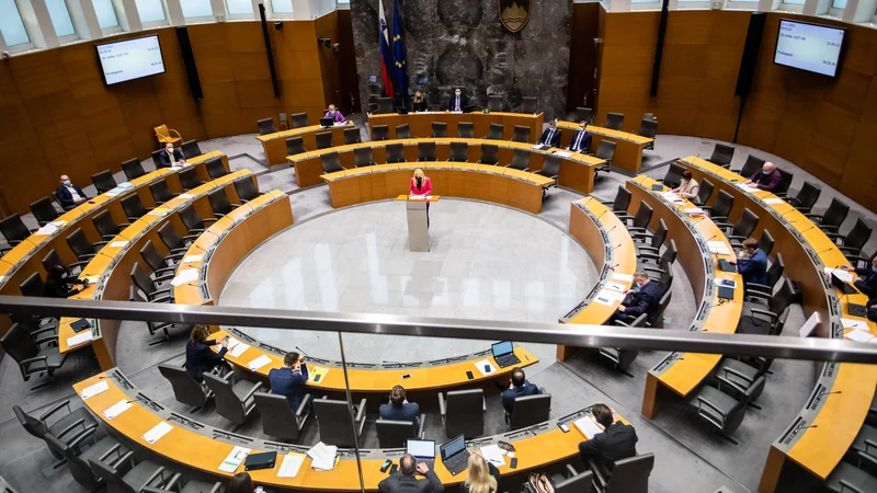 Fotografija: V državem zboru so zaradi prestopov že morali naslavljati razmerja v delovnih telesih, Levica vztraja, da bi jih morali ponovno. FOTO: Črt Piksi/Delo