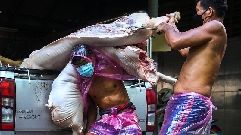 Fotografija: Mesarji raztovarjajo kose svinjskega mesa iz tovornjaka na tržnici v Bangkoku. Tajske oblasti so v torek sporočile, da je bila afriška prašičja kuga odkrita v vzorcu površinskega brisa v klavnici v Bangkoku. Foto: Chalinee Thirasupa/Reuters

 

