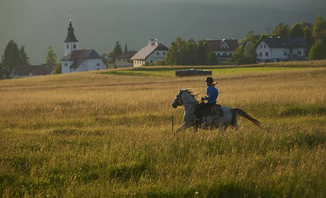 FOTO: Jure Eržen
