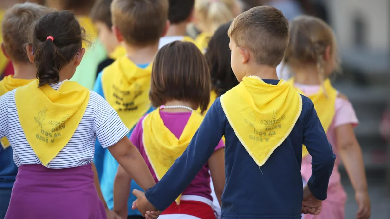 Fotografija: Praksa izvajanja ur dodatne strokovne pomoči je med šolami zelo različna. FOTO: Jure Eržen/Delo
