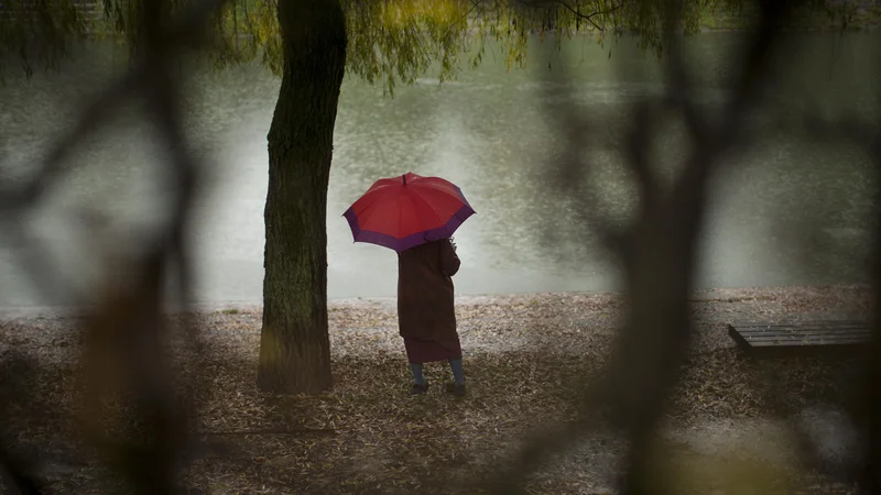 Fotografija: Če je potrebna strokovna pomoč, je težava precejšnja. Čakalne dobe so po vsej državi daljše od zakonsko dopustnih. FOTO: Jure Eržen/Delo