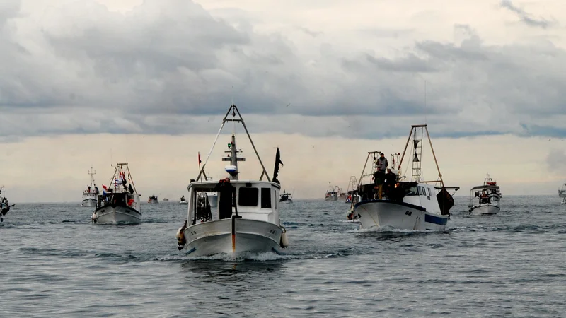 Fotografija: Hrvaški ribiči pred Piranom. FOTO: Boris Šuligoj
