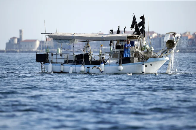 Ribiči so že obupali nad tem, da bi se predstavniki Slovenije in Hrvaške uspeli dogovoriti glede upravljanja Piranskega zaliva. FOTO: Matej Družnik/Delo

