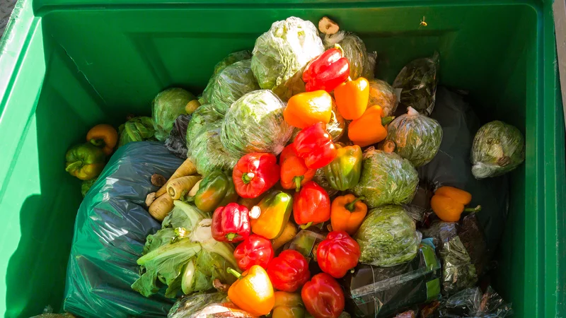 Fotografija: Ogromno hrane se še vedno zavrže, medtem pa je kar 45 milijonov ljudi v 43 državah na robu lakote. FOTO: Shutterstock
