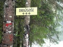 image_alt