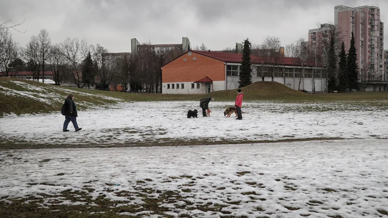 Fotografija: Na teh zelenih površinah v Šiški naj bi zgradili štiri stanovanjske bloke, ki jim stanovalci odločno nasprotujejo. FOTO: Blaž Samec/Delo
