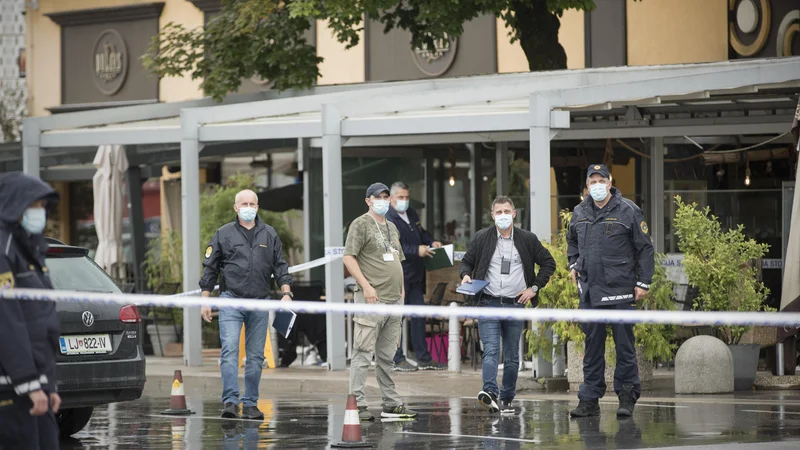 Lahko bi jo skupil tudi kakšen mimoidoči. FOTO: Jure Eržen/Delo