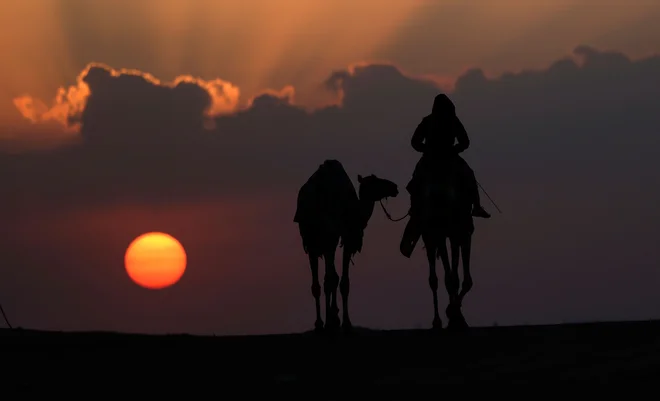 V puščavi blizu mesta Madinat Zayed, približno 150 km zahodno od emiratske prestolnice Abu Dhabi, poteka festival kamel Mazayin Dhafra. Le ta vključuje lepotno tekmovanje kamel, razstavo ročnih del ZAE in druge dejavnosti, namenjene promociji folklore države. Foto: Karim Sahib/Afp
