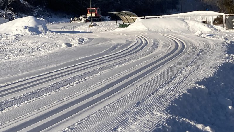 Fotografija: Športu Ljubljana je uspelo pripraviti dovolj snega, da je tekaška proga zdaj dolga 800 metrov. FOTO: Gojko Zalokar
