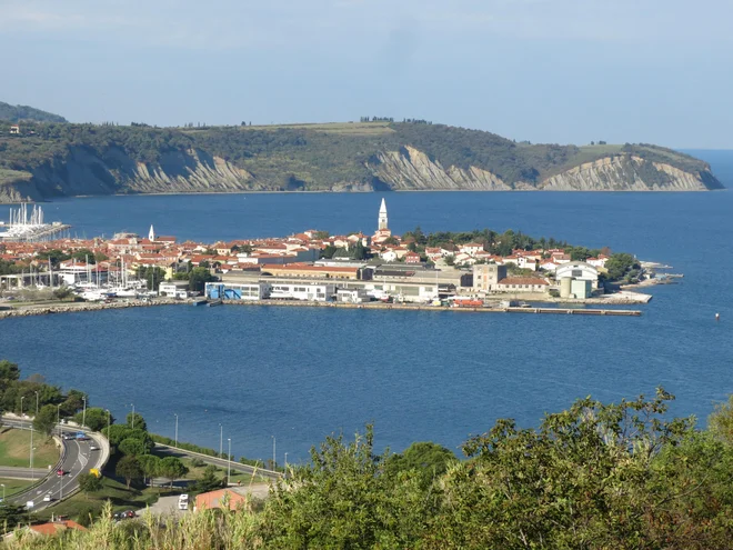 Ezulske organizacije bi del denarja od odškodnin porabile za fundacijo, ki bi skrbela za ohranjanje spomina na povojne begunce. FOTO: Boris Šuligoj/Delo

