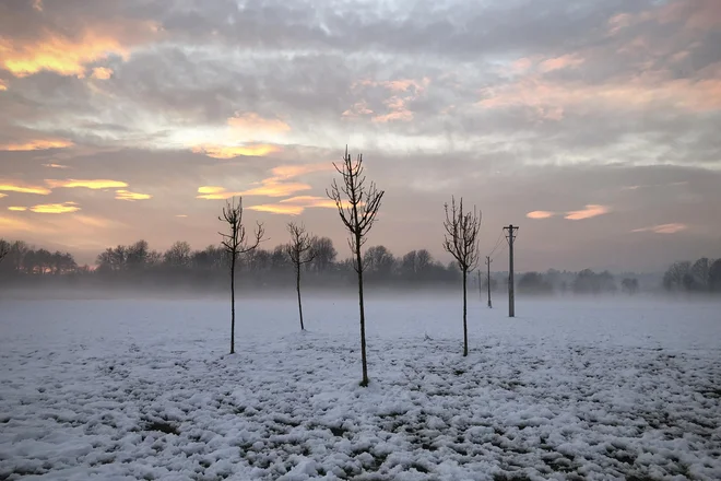 Vse več je tistih, ki so srečni, da ga je konec &ndash; januarja namreč. In da so ga preživeli. FOTO: Jure Eržen/Delo
