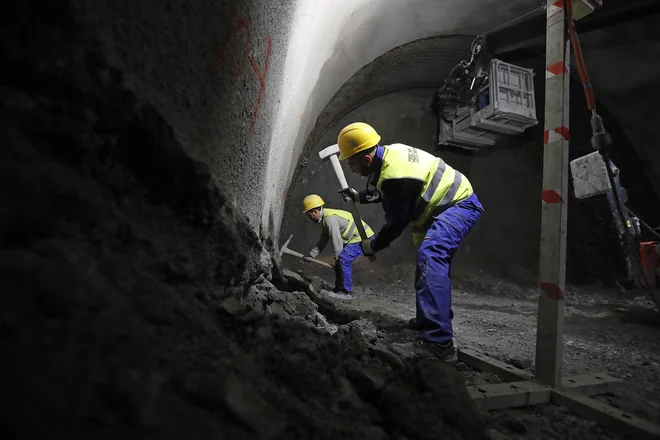 Bogatejše države članice pobirajo delovno silo iz vzhodne Evrope in Balkana. FOTO: Leon Vidic/delo
