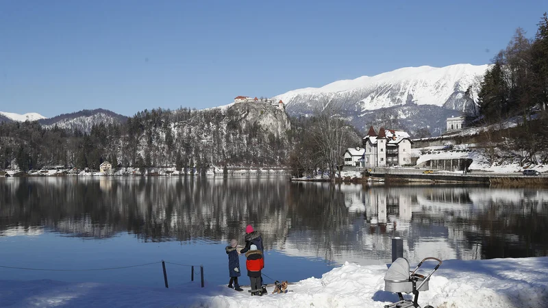 Fotografija: Sklad York je z madžarskim kupcem sklenil dogovor o prodaji 43-odstotnega deleža v Savi. FOTO: Leon Vidic/Delo
