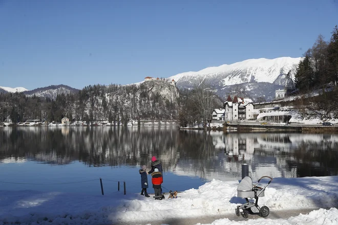 Sklad York je z madžarskim kupcem sklenil dogovor o prodaji 43-odstotnega deleža v Savi. FOTO: Leon Vidic/Delo
