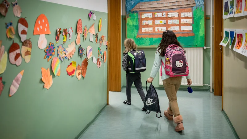 Fotografija: Šole so bile o spremembi obveščene z okrožnico pred začetkom šolskega leta 2021/2022, v kateri je bilo zapisano, da ministrstvo načrtuje spremembo podrobnejših navodil o šolskem koledarju za tekoče šolsko leto in da predvidevajo, da bo 7. februarja pouka prost dan. FOTO: Voranc Vogel/Delo