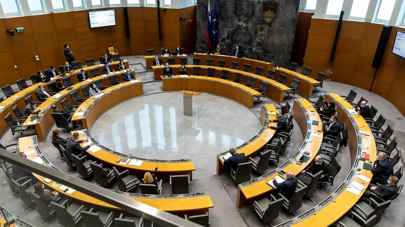 Fotografija: Vlada je zagotavljala, da se z njim ne posega bistveno v sedanji sistem, opozicija pa je opozarjala na prevelik poseg v varstvo osebnih podatkov in preširoka pooblastila v inšpekcijskem postopku. FOTO: Črt Piksi/Delo