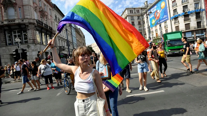 Fotografija: Slovenska vladna stranka si homofobno retoriko sposoja z Madžarske. FOTO: Marton Monus/Reuters