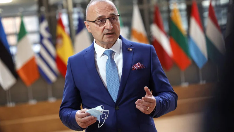 Fotografija: Zunanji minister Gordan Grlić Radman rad stopi pred objektive in priobči, da ta ali ona država podpira Hrvaško pri članstvu v OECD. FOTO: Afp