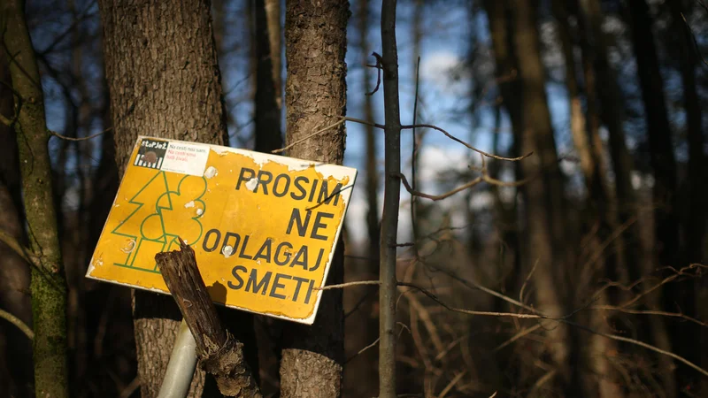 Velik del poslancev DZ je v prvem branju podprl novi zakon. Moravški župan ob tem poudarja, da je v nasprotju z Evropsko direktivo o odpadkih. FOTO: Jure Eržen/Delo
