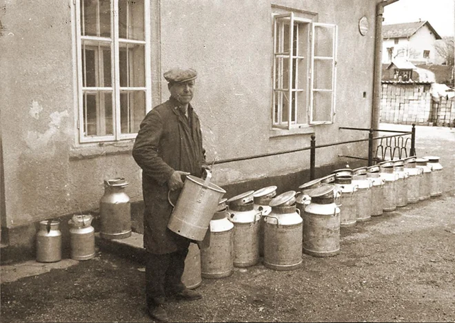 Začetki današnje Mlekarne Celeia segajo v začetek 2. svetovne vojne, intenzivnejši razvoj pa se je začel v 50. letih. FOTO: Mlekarna Celeia

