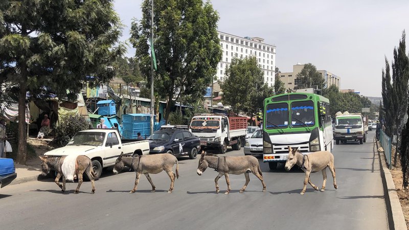 Fotografija: Prizor iz Adis Abebe, glavnega mesta Etiopije. Vozniki morajo biti pripravljeni na vse. FOTO: Aljaž Vrabec
