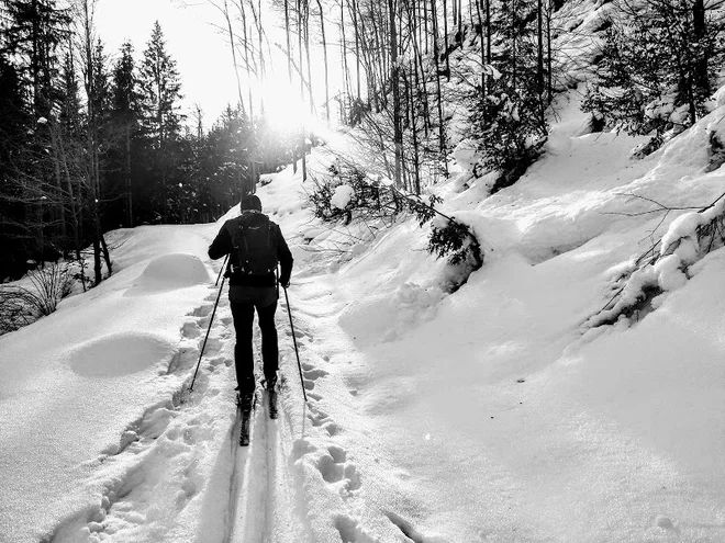 Problem pa je bil vnos energije in hranil med vadbo. FOTO: Miroslav Cvjetičanin/Delo
