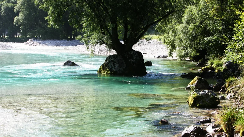 Fotografija: 47-letni osumljenec je kot ponudnik turističnih storitev na Gorenjskem unovčeval turistične bone FOTO: Igor Modic/Delo