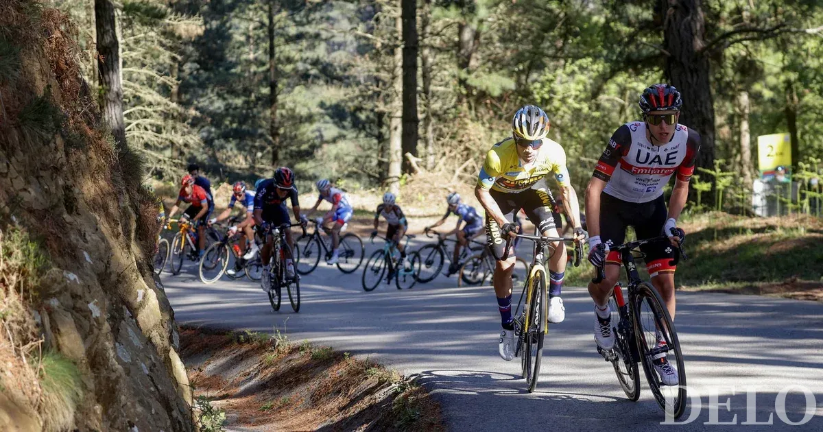 Sur quel vélo Tadej Pogačar courra-t-il cette année et lequel Primož Roglič utilisera-t-il?