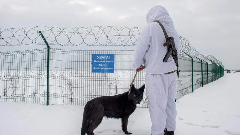 Fotografija: Razporeditev ruskih oboroženih sil na svojem lastnem ozemlju ne more biti v navzkrižju s temeljnimi interesi ZDA, so zapisali v ruskem zunanjem ministrstvu. FOTO: Sergey Bobok/AFP