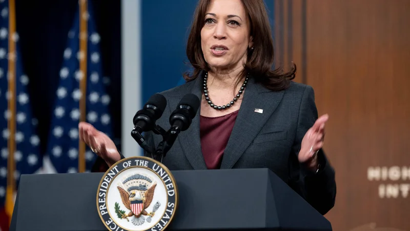 Fotografija: Ameriška podpredsednica Kamala Harris se bo srečala tudi z ukrajinskim predsednikom Volodimirjem Zelenskim. FOTO: Saul Loeb/AFP