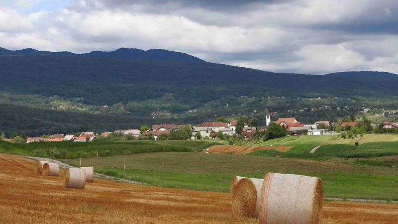 Fotografija: Trasa železniške proge je tekla skozi Dragatuško polje, kjer bi potekala tudi kolesarska pot. FOTO: Osebni arhiv