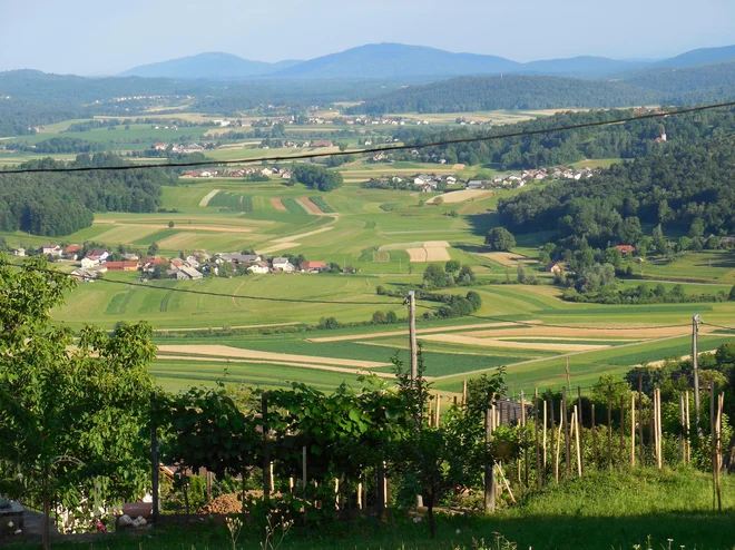 Dragatuško polje v Beli krajini. FOTO: Osebni arhiv
