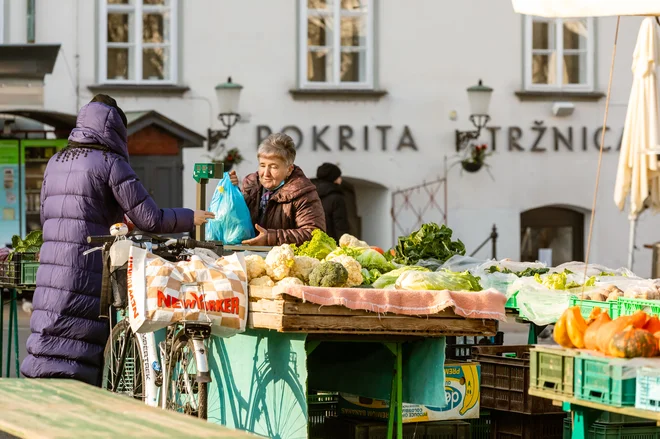 Resolucija bi po mnenju združenja Srebrna nit starejšim morala namenjati več pozornosti. FOTO: Črt Piksi/Delo
