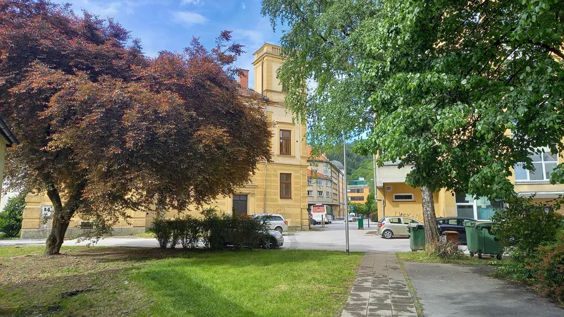 Fotografija: Zadnje tedne si nekateri občani prizadevajo za ohranitev ringloja (levo) sredi mesta, kjer je načrtovan vhod na to območje, kjer bodo varovana stanovanja. FOTO: Metka Krajnc