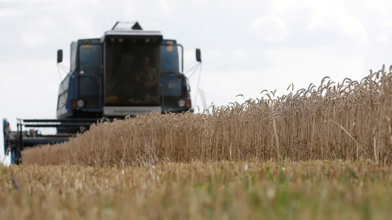 Fotografija: Ukrajina, ki ima večino polj na vzhodu države ob meji z Rusijo, je tudi največja izvoznica koruze in ječmena. Foto Valentyn Ogirenko/Reuters