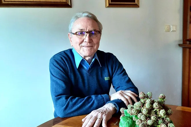 &raquo;Sami smo začeli inovativno razvijati vse več izdelkov in kmalu postali v okviru koncerna Hella kompetenčni center za razvoj in proizvodnjo meglenk in žarometov za avtomobile, ki se proizvajajo v malih serijah,&laquo; se spominja Andrej Lazar. FOTO: Brane Maselj
