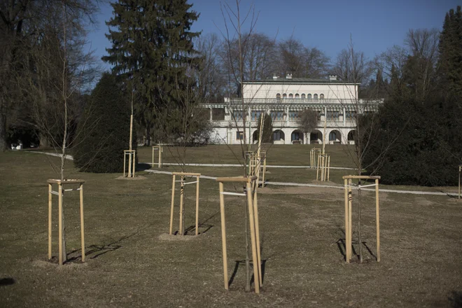 Celotno posestvo Vile Podrožnik obsega kar 3,7 hektarja, park pa se razprostira na okoli 2,8 hektarja zemljišča. FOTO: Jure Eržen/Delo
